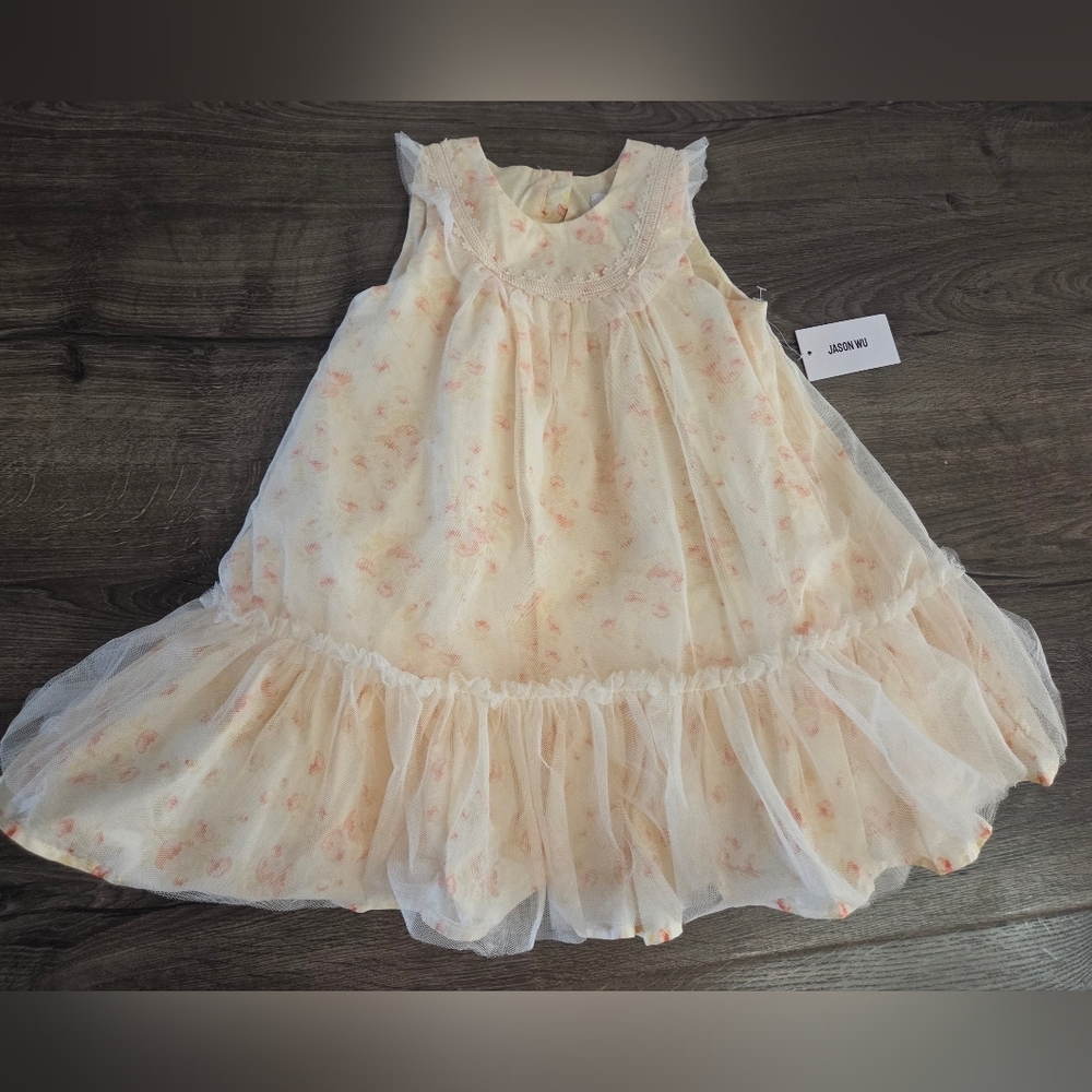 Jason Wu Girls Sleeveless Floral Dress Size 4t NWT